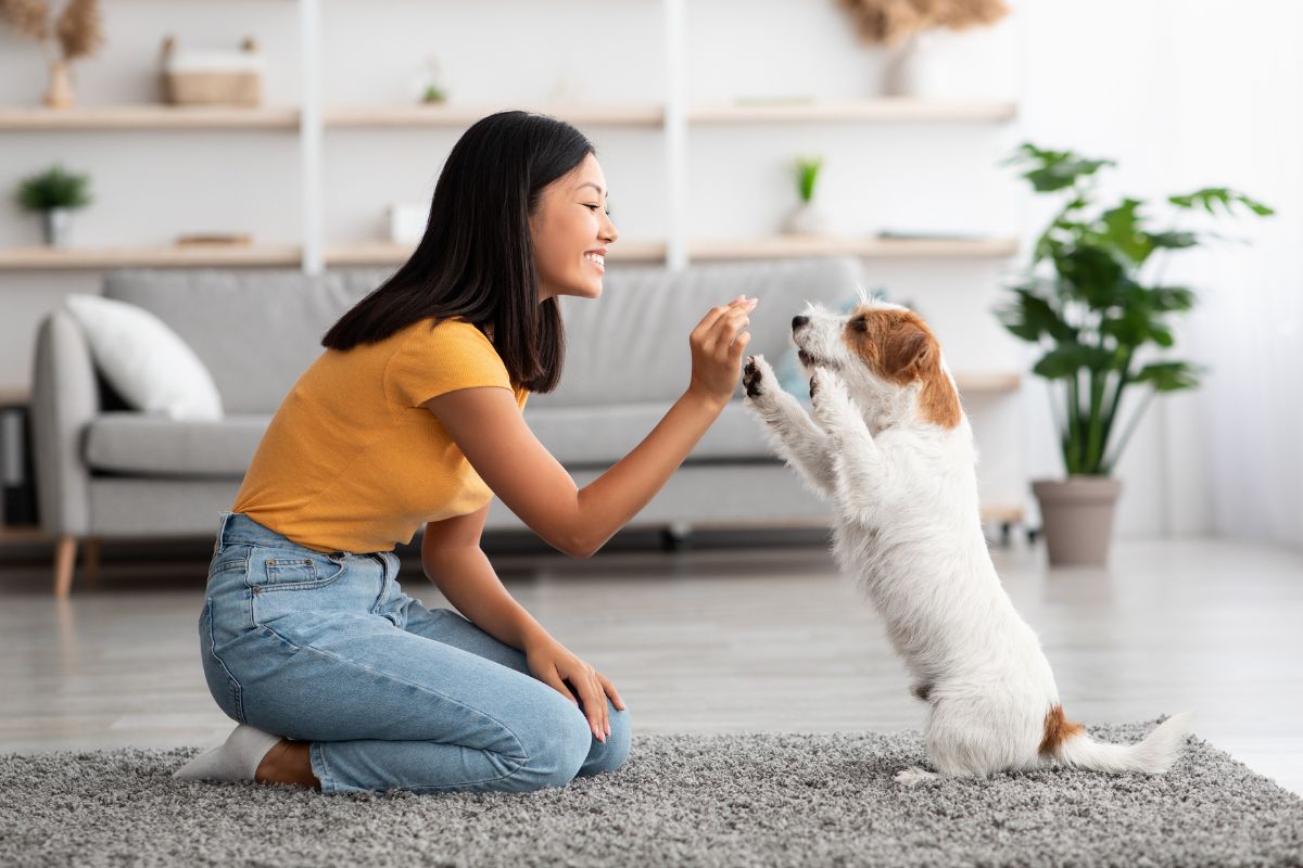 15-Astuces pour persuader un propriétaire d'accepter les animaux de compagnie